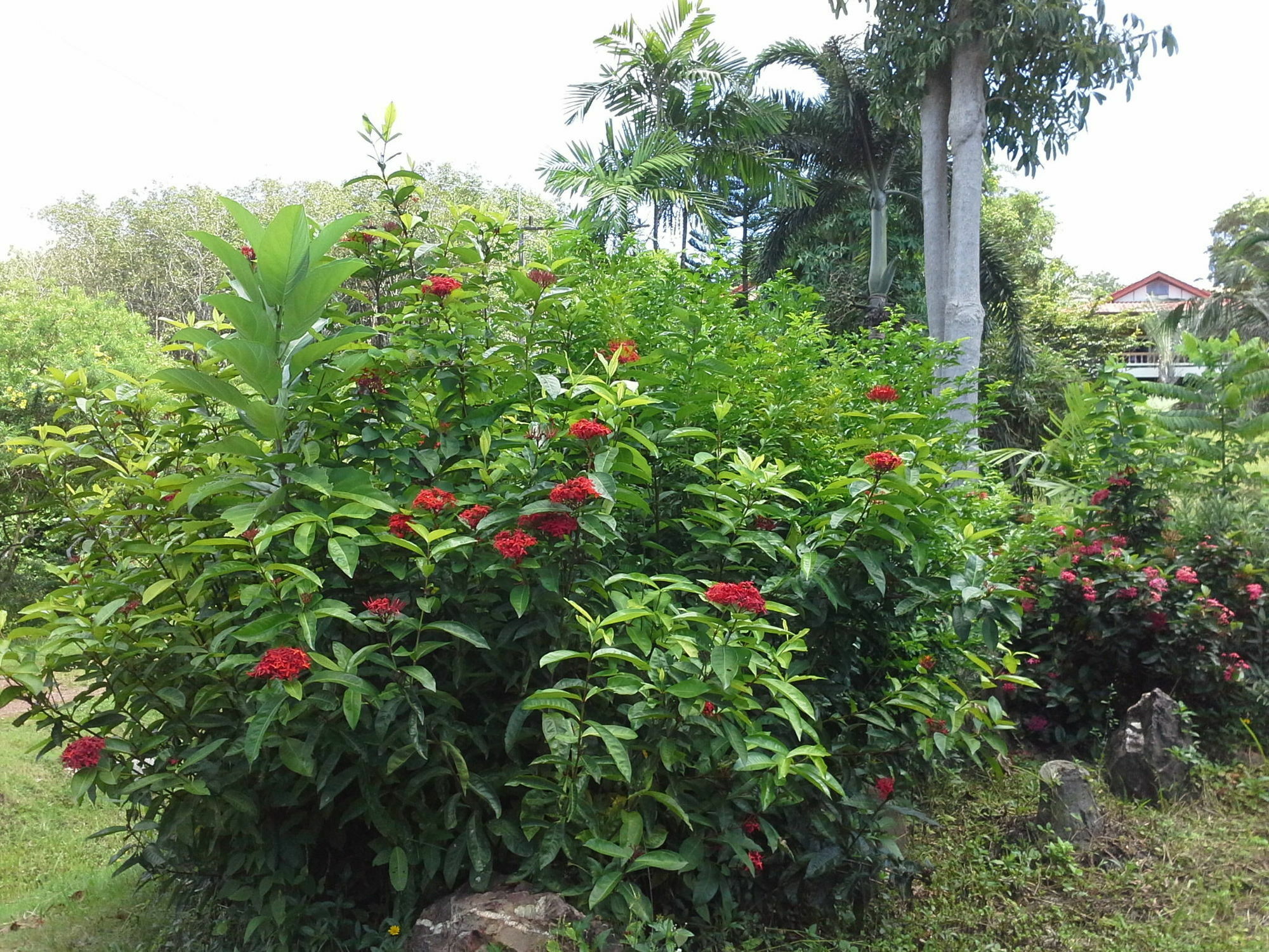 Appartamento Freedom Estate Sea View Ko Lanta
